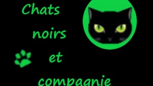 Illustration : "Chats noirs et compagnie"