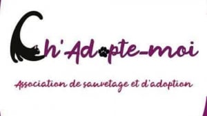 Illustration : "Ch'adopte-moi"