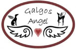 Logo de l'assocation GALGOS ANGEL