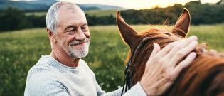 Illustration : Connaître son cheval