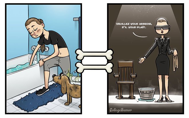 Illustration de l'article : Un illustrateur imagine avec humour, le fond de la pensée des chiens en 7 dessins ! 
