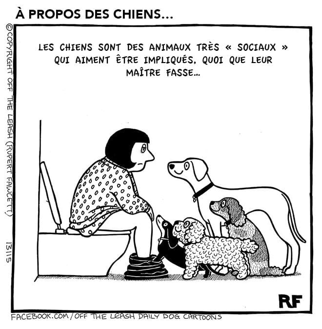 Télécharger gratuitement Images 21 Dessins Decrivant La Vie De Chien Avec Beaucoup D Humour le plus cool par