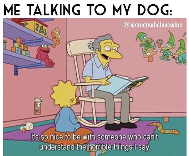 Illustration de l'article : 12 preuves que votre chien s’arrangera toujours pour que vous restiez célibataire