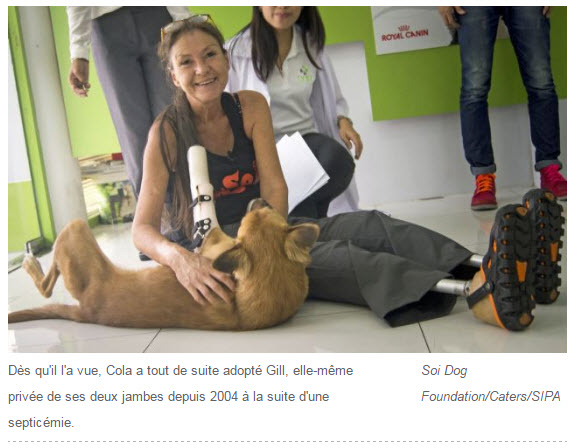 Illustration de l'article : Thaïlande : Une nouvelle vie pour Cola, le chien aux pattes coupées par une épée !