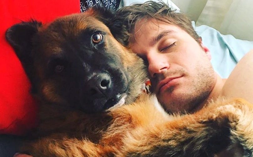 Illustration de l'article : 5 choses que votre chien essaie de vous dire quand il frotte son museau !