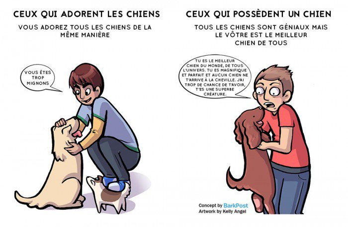 https://www.woopets.fr/assets/ckeditor/2016/jul/1027/originale/3%20copy.jpg