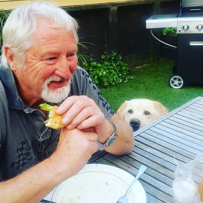 Illustration de l'article : 16 chiens qui n’attendent qu’une seule chose : votre repas !