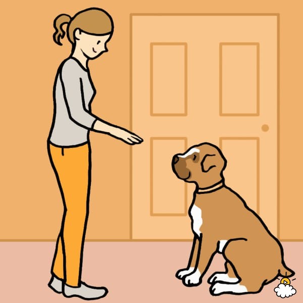 Illustration de l'article : 8 bonnes raisons de laisser votre chien vous lécher le visage