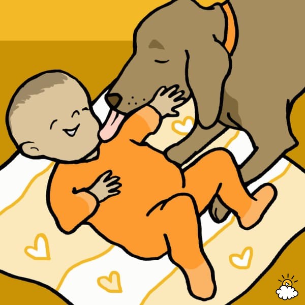 Illustration de l'article : 8 bonnes raisons de laisser votre chien vous lécher le visage