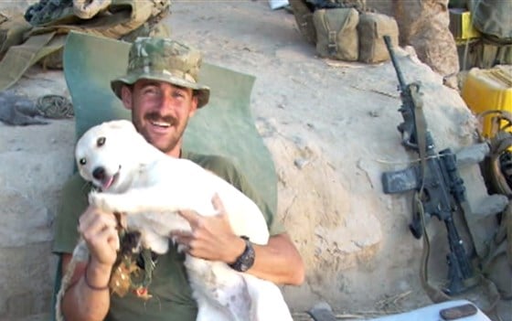Illustration de l'article : Un soldat contourne le règlement militaire pour ramener un chien de l’étranger