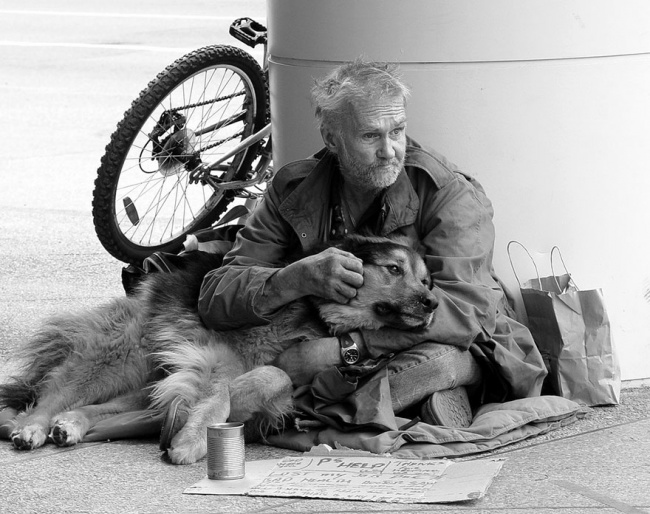 Illustration de l'article : 16 photos de chiens faisant preuve d'une loyauté sans limite envers leurs maîtres