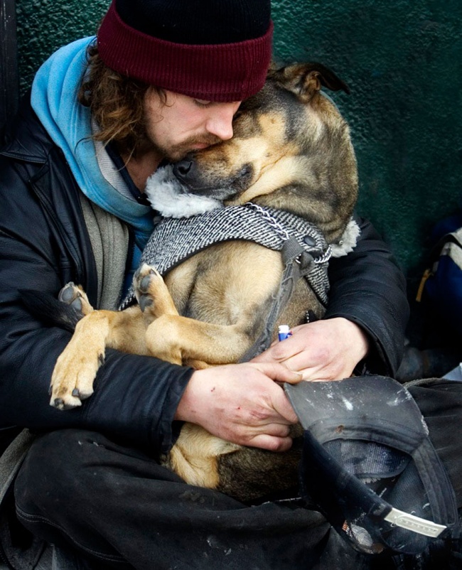Illustration de l'article : 16 photos de chiens faisant preuve d'une loyauté sans limite envers leurs maîtres