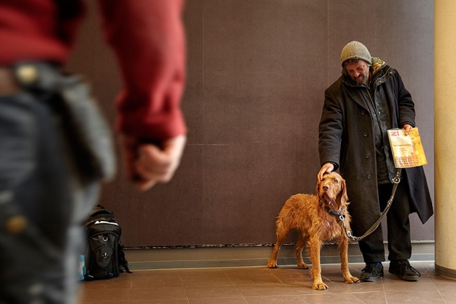 Illustration de l'article : 16 photos de chiens faisant preuve d'une loyauté sans limite envers leurs maîtres