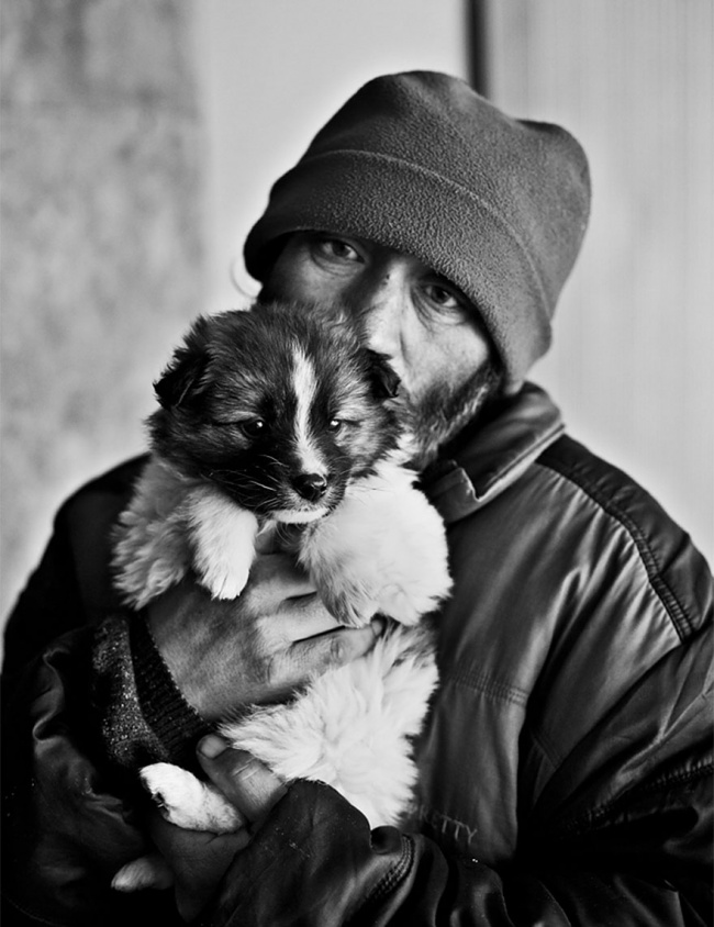 Illustration de l'article : 16 photos de chiens faisant preuve d'une loyauté sans limite envers leurs maîtres