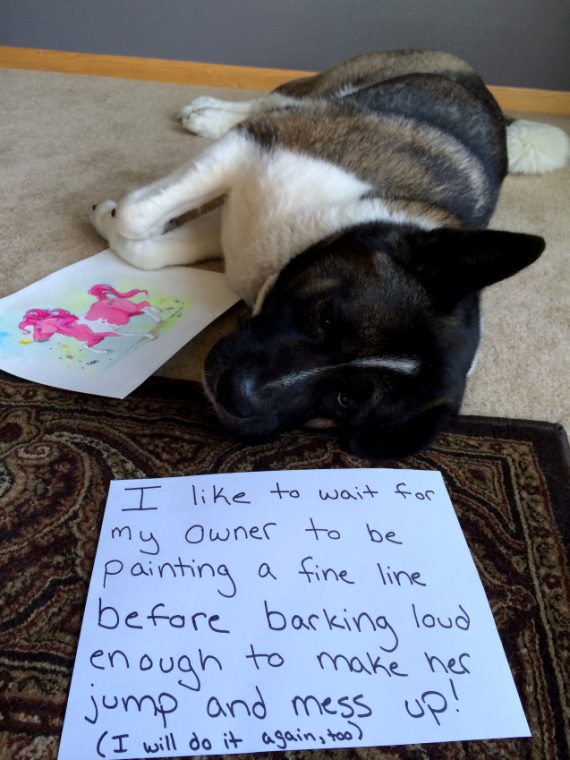 Illustration de l'article : 14 photos de chiens qui ont fait des bêtises