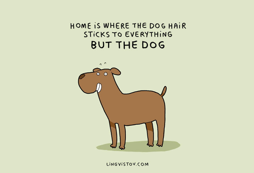 Illustration de l'article : 10 illustrations pour vous donner une idée sur la cohabitation entre homme et chien