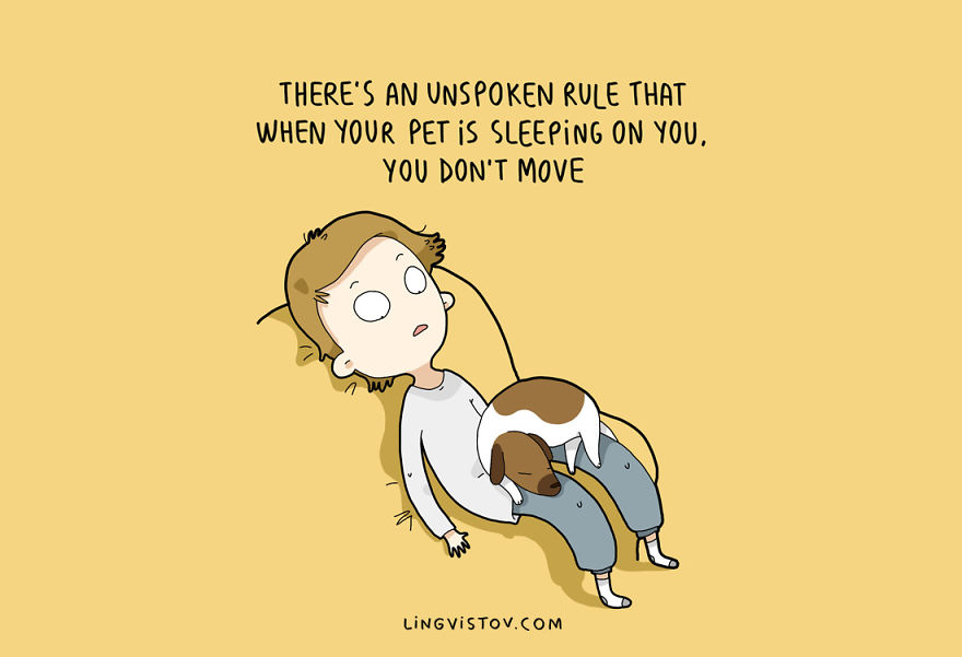 Illustration de l'article : 10 illustrations pour vous donner une idée sur la cohabitation entre homme et chien