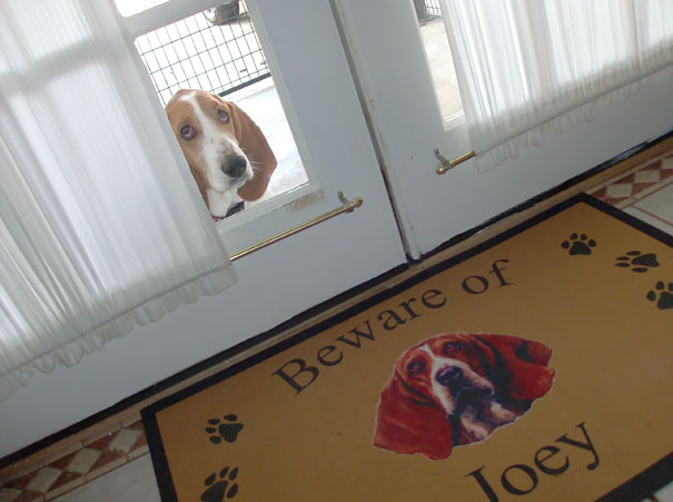 Illustration de l'article : 15 affiches d’alerte aux chiens dangereux qui ne le sont pas vraiment
