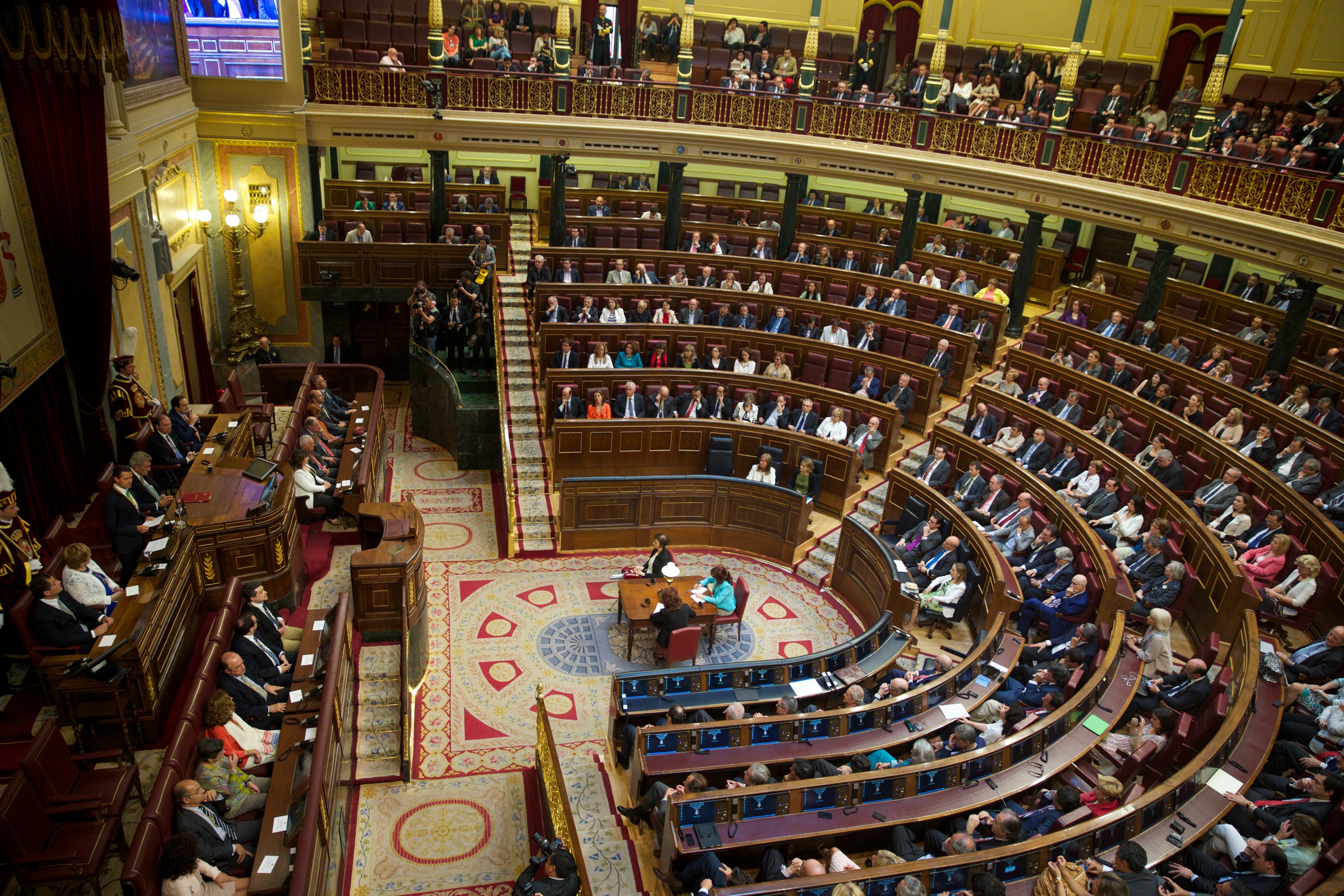 Illustration de l'article : La caudectomie esthétique désormais interdite en Espagne