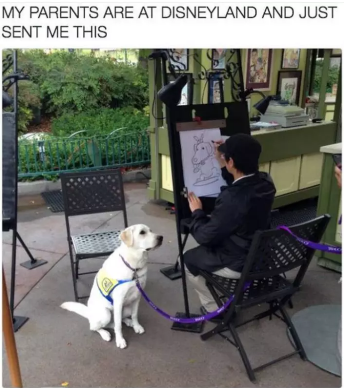 Illustration de l'article : 10 photos qui prouvent à quel point les chiens sont bons