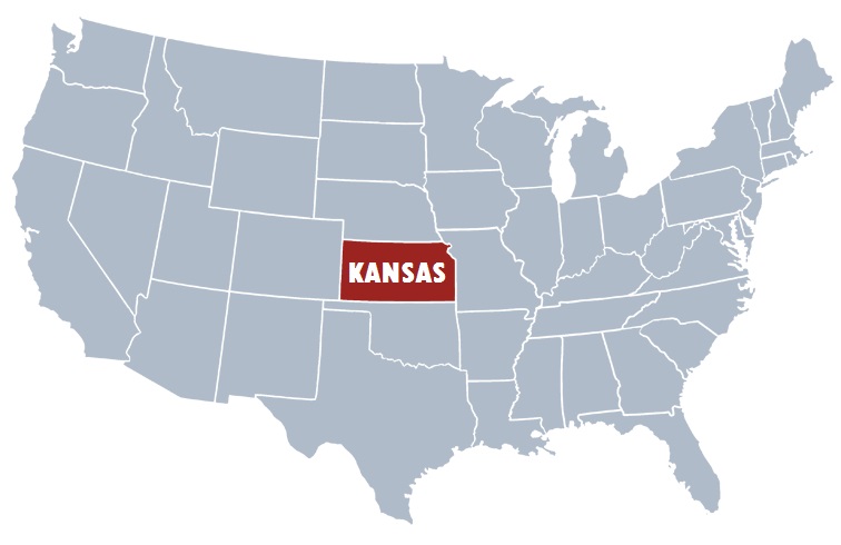 Illustration de l'article : Etats-Unis : Un chien retrouvé 3 mois après avoir disparu dans le Kansas
