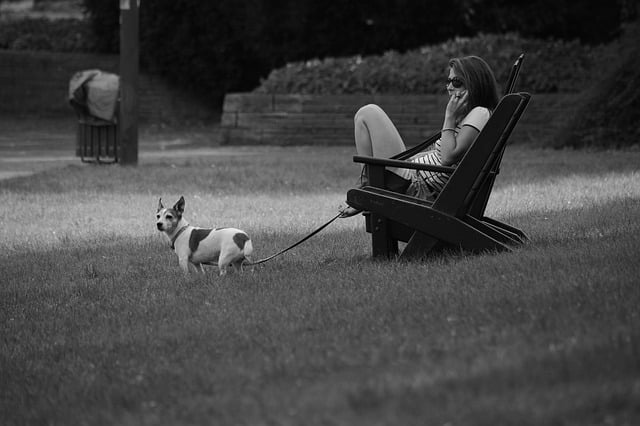 Illustration de l'article : 8 choses à propos des humains que les chiens peuvent ressentir