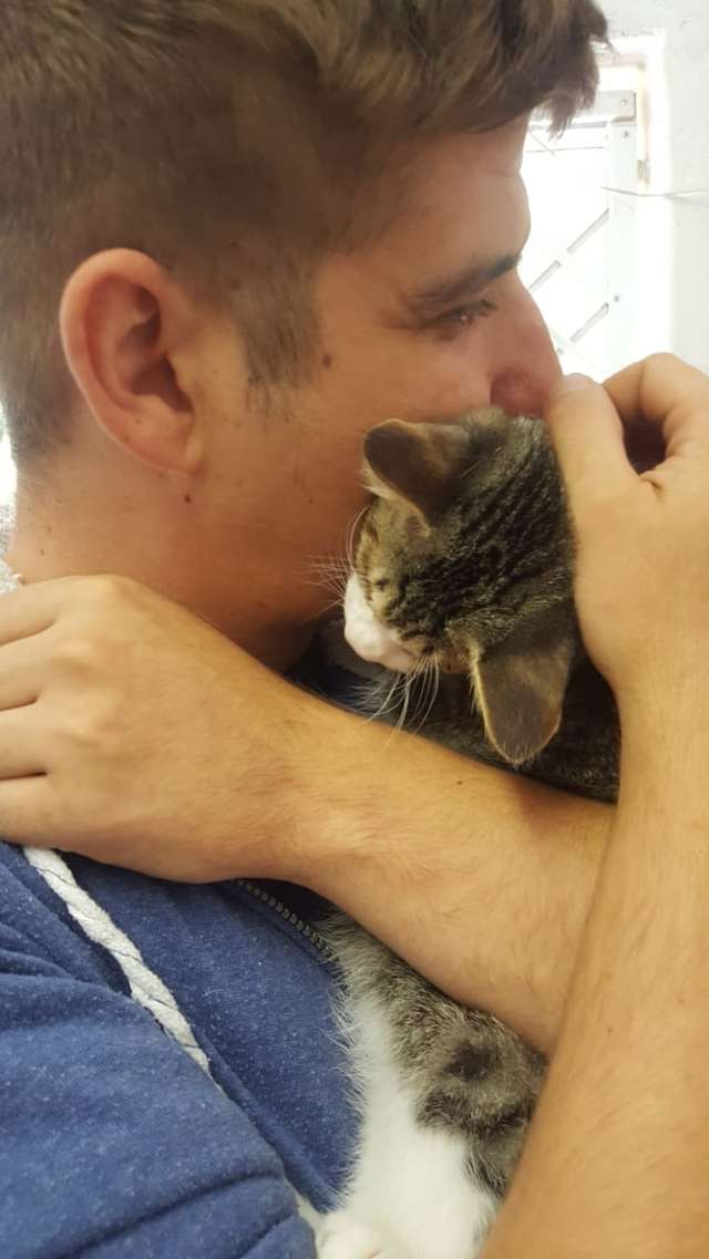 Illustration de l'article : Un chaton né aveugle, sauvé et adopté, fait craquer tout ceux qui l’entourent
