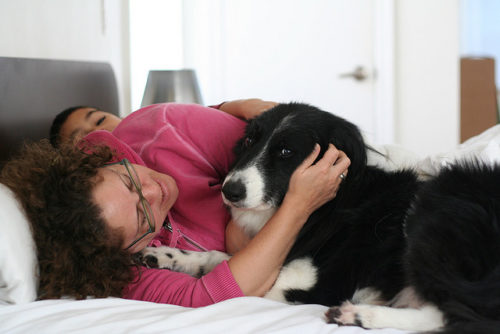 Illustration de l'article : 5 faits que votre chien peut remarquer chez vous 