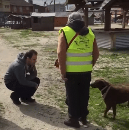 Illustration de l'article : Après 2 ans de séparation, une chienne et son maître se retrouvent !