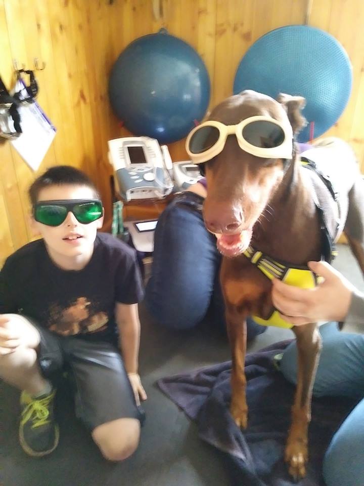 Son Chien Tombe Gravement Malade Il Vend Ses Jouets Pour