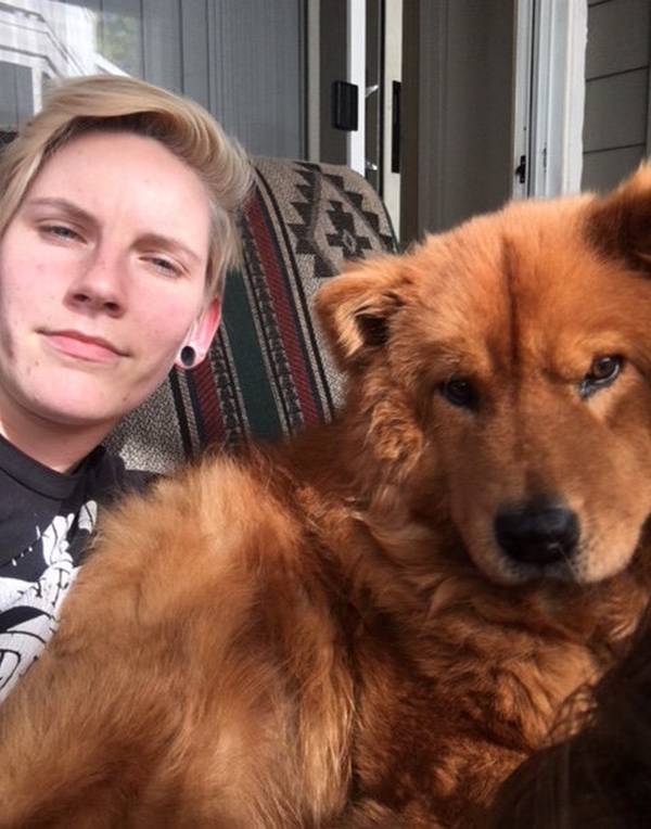 Illustration de l'article : Trouvé dans un triste état, ce chien a retrouvé la santé et sa magnifique fourrure