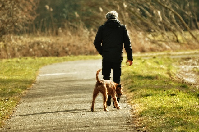 Illustration de l'article : 5 conseils pour construire une relation solide avec un chien adopté dans un refuge