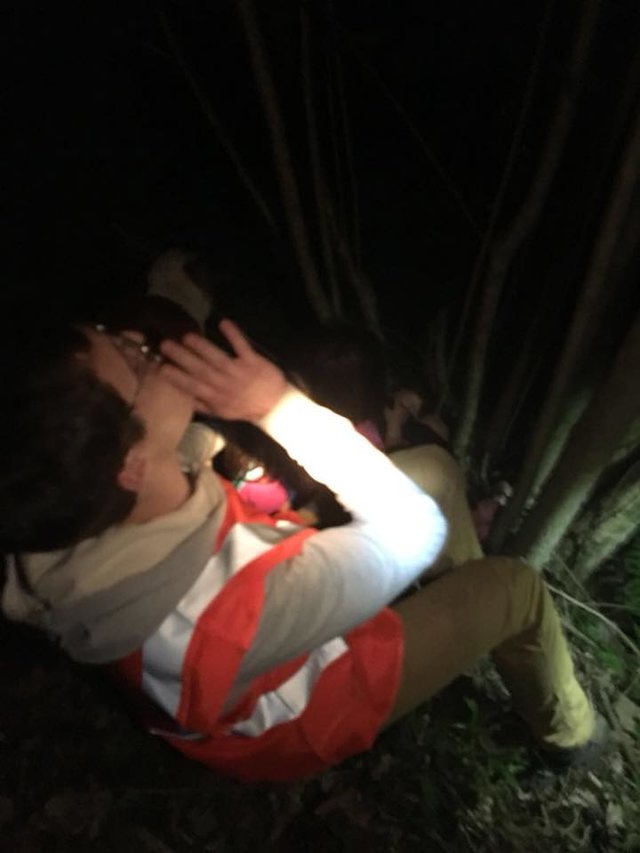 Illustration de l'article : 2 sœurs s'égarent dans les bois, leur chien les protège jusqu'au bout