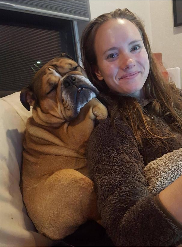 Illustration de l'article : 15 photos de chiens aux habitudes plutôt étranges