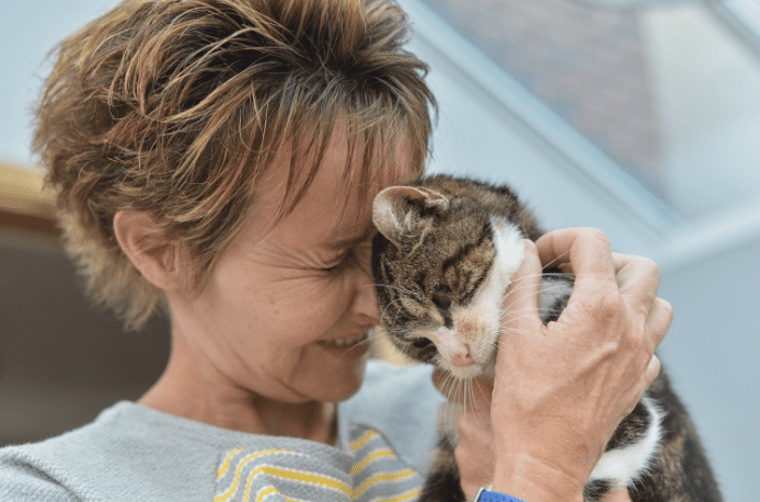 Illustration de l'article : Elle perd son chat âgé de 4 ans. 13 ans plus tard, elle reçoit un appel inattendu !