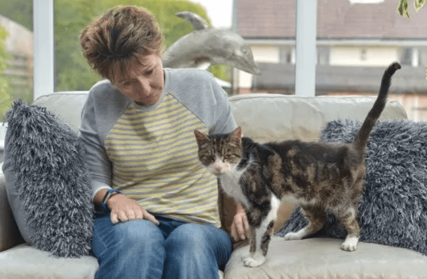 Illustration de l'article : Elle perd son chat âgé de 4 ans. 13 ans plus tard, elle reçoit un appel inattendu !