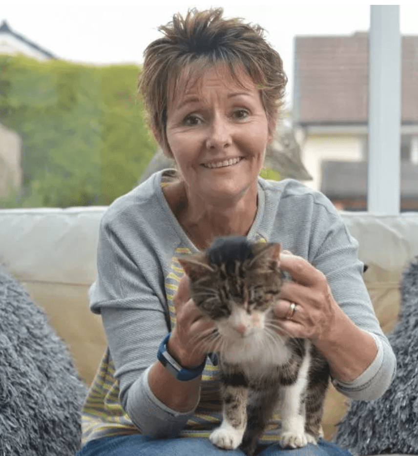 Illustration de l'article : Elle perd son chat âgé de 4 ans. 13 ans plus tard, elle reçoit un appel inattendu !