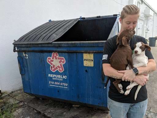 Illustration de l'article : Abandonnés dans une poubelle ces deux chiots ont trouvé le salut à la boucherie ! 