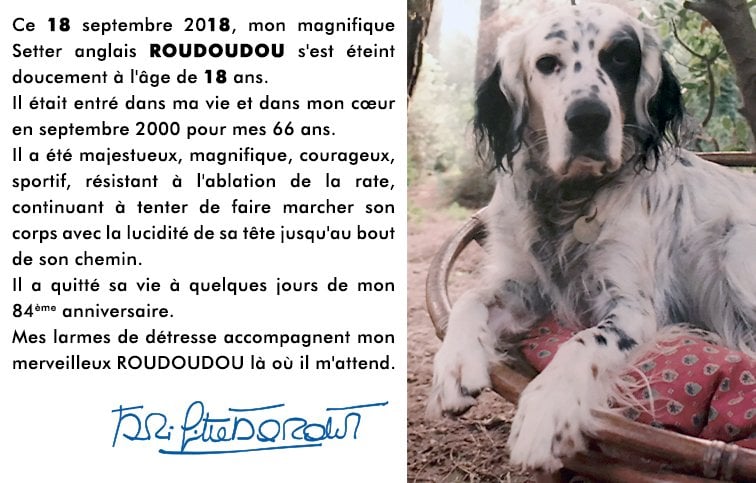 Illustration de l'article : Brigitte Bardot est en deuil : son chien est mort à l'âge de 18 ans