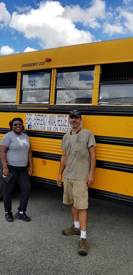 Illustration de l'article : Tennessee : un homme a acheté un bus pour sauver les animaux durant les catastrophes naturelles