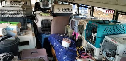 Illustration de l'article : Tennessee : un homme a acheté un bus pour sauver les animaux durant les catastrophes naturelles