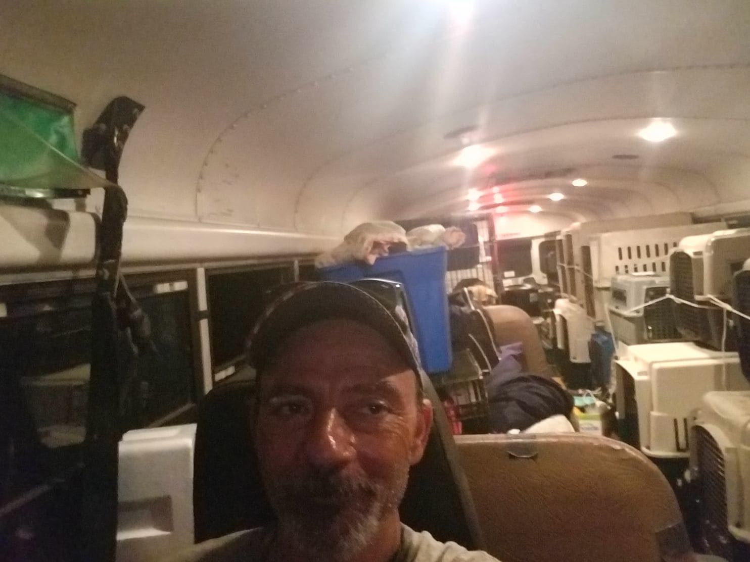 Illustration de l'article : Tennessee : un homme a acheté un bus pour sauver les animaux durant les catastrophes naturelles