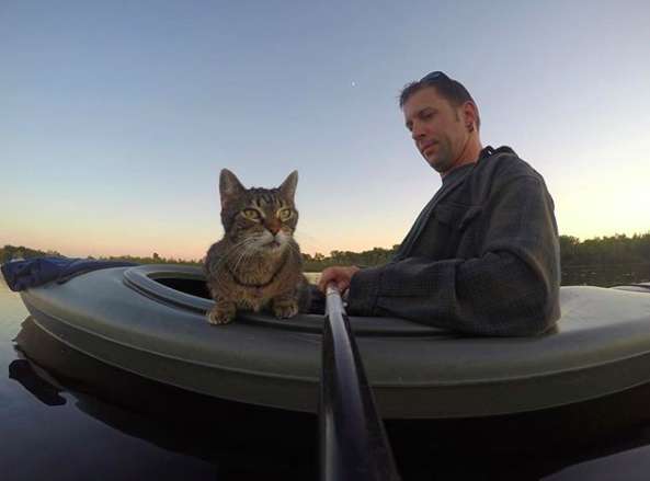 Illustration de l'article : Une chatte s’est passionnée dès son plus jeune âge pour le kayak