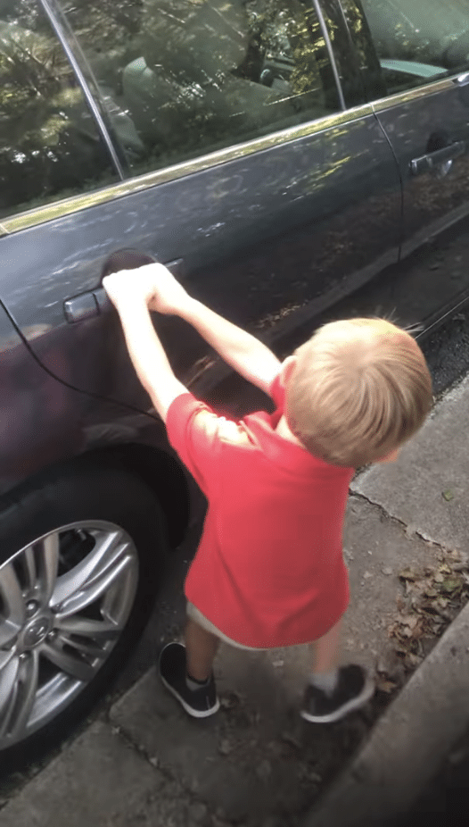 Illustration de l'article : (Vidéo) Un enfant surpris par la présence d’un chiot en ouvrant la porte de la voiture de son père