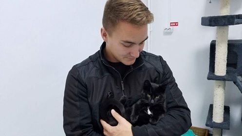 Illustration de l'article : Un soldat en mission à l’étranger rencontre un chat et le ramène avec lui