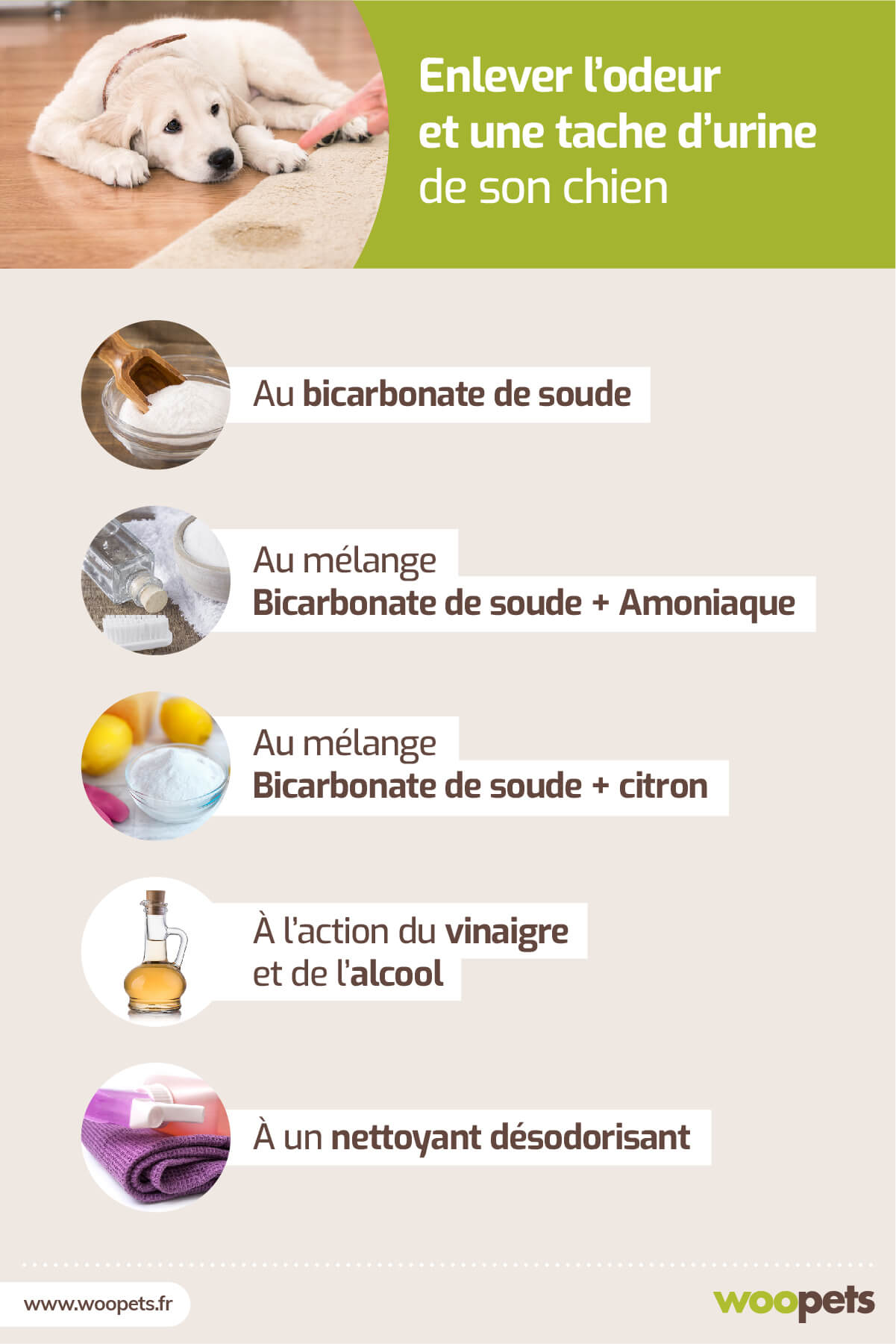 Comment enlever l'odeur et les taches d'urine de son chien ?