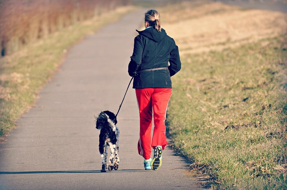 Illustration de l'article : Selon cette étude, les propriétaires de chiens vivraient plus longtemps que les gens sans animaux !