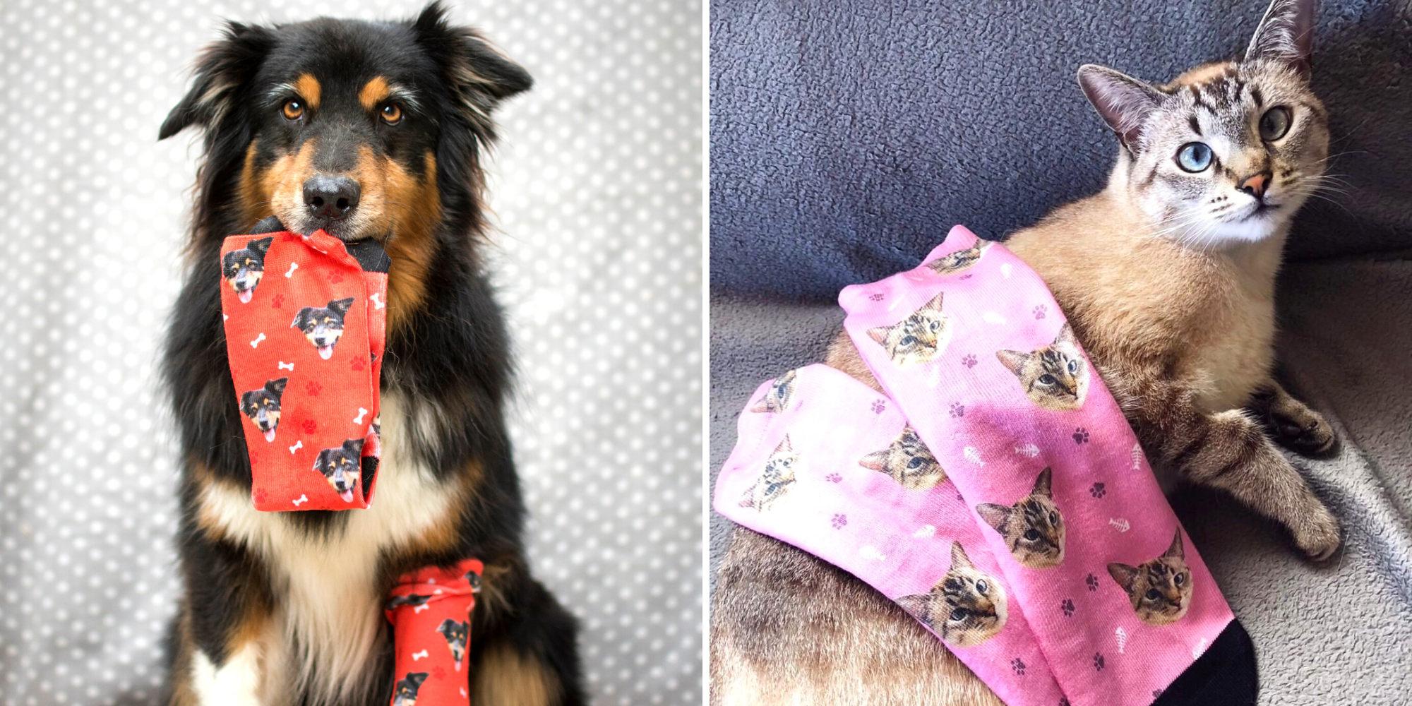 Faites Imprimer La Tete De Votre Chien Ou De Votre Chat Sur Vos Chaussettes Avec Kadonimo Faites Imprimer La Tete De Votre Chien Ou De Votre Chat Sur Vos Chaussettes Avec Kadonimo
