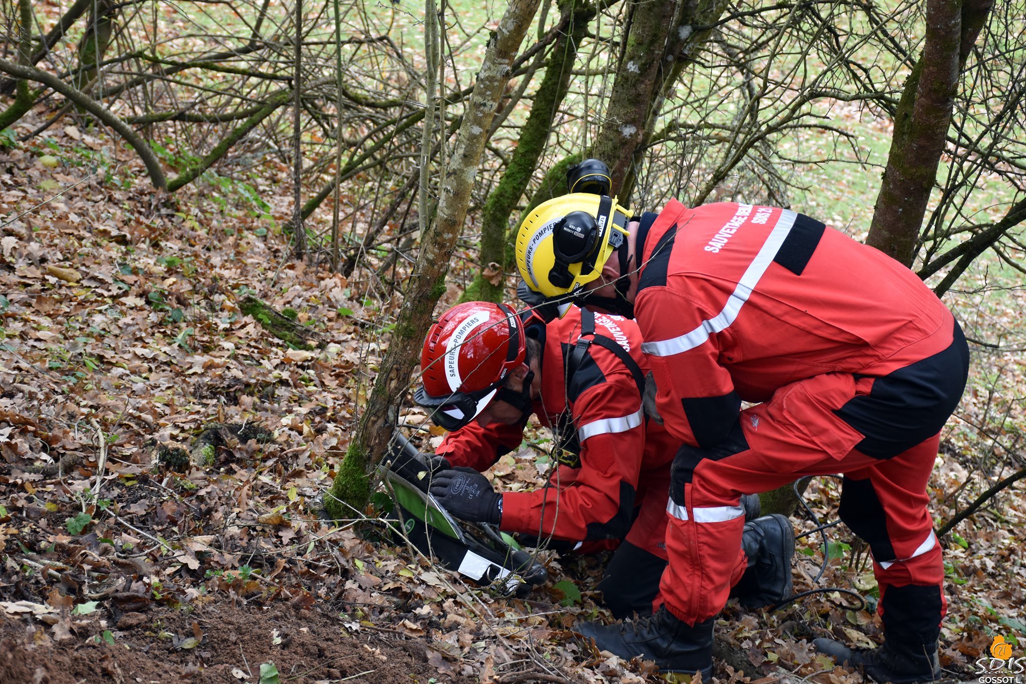 Illustration de l'article : Les pompiers s’emploient pour sortir deux chiens coincés dans un terrier !