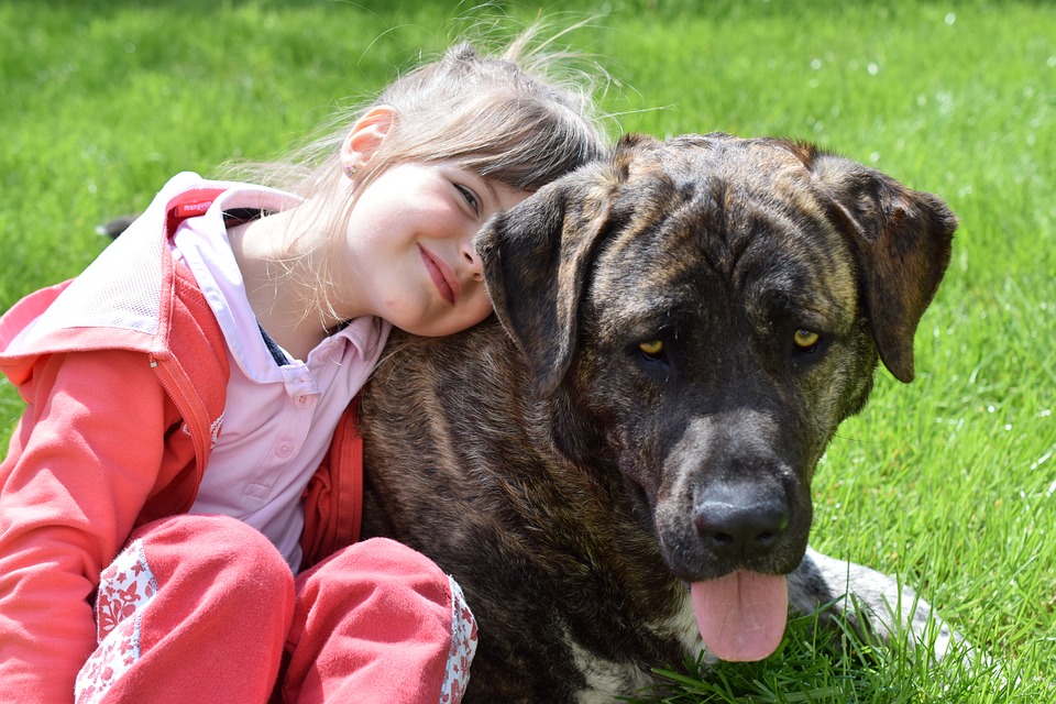 Illustration de l'article : Avoir un chien durant son enfance réduirait le risque d’être atteint de schizophrénie